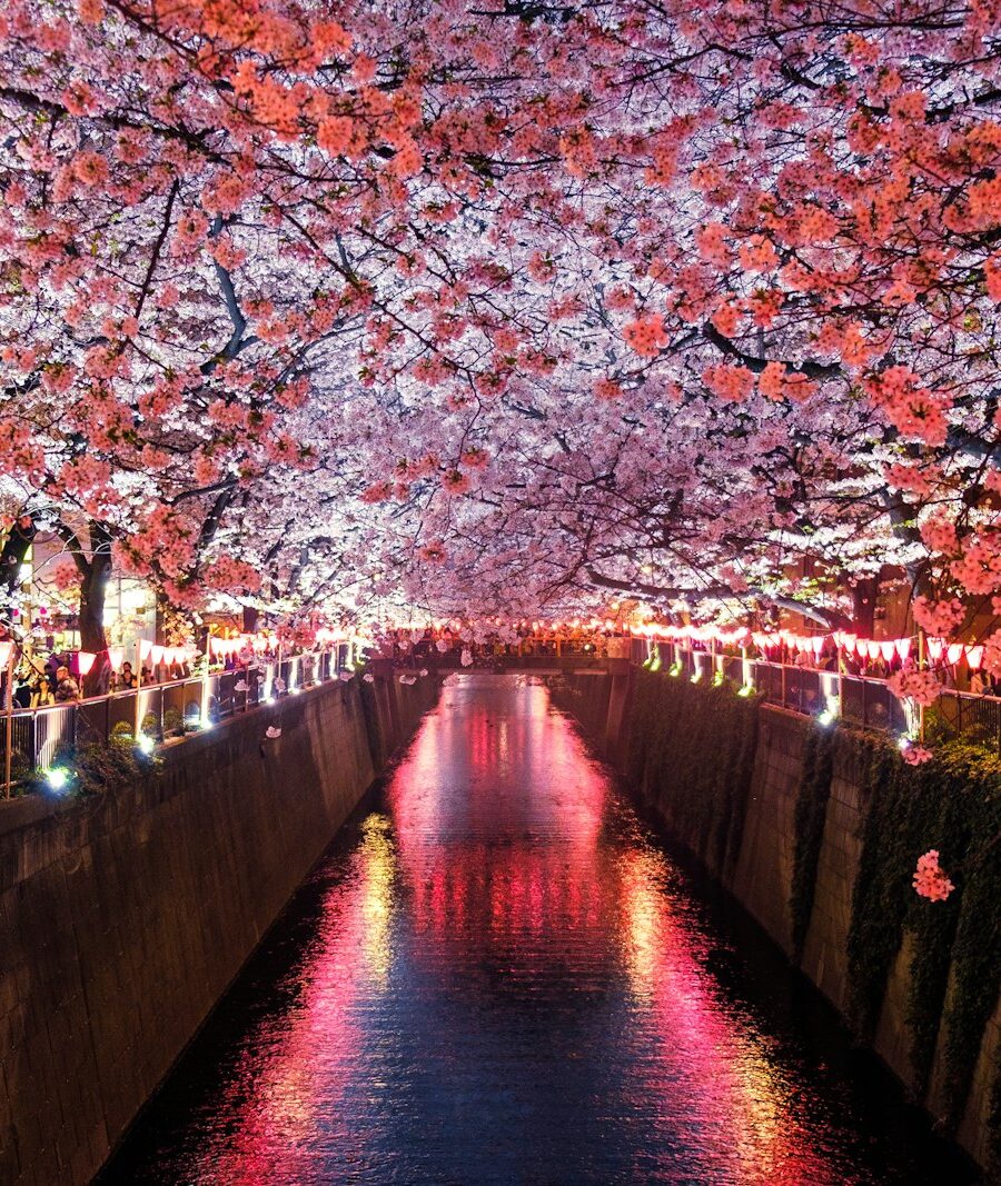 Japan